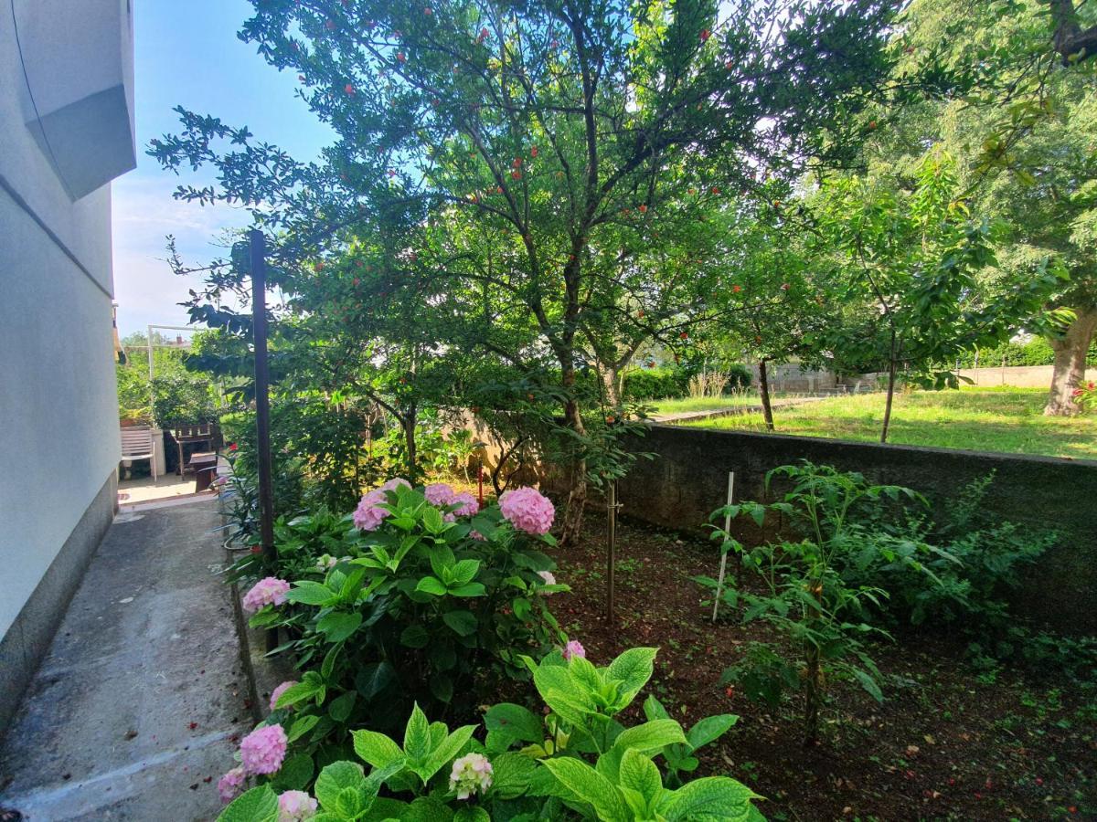 Peaceful Apartment 30 Meters From Sea Zadar Exterior foto